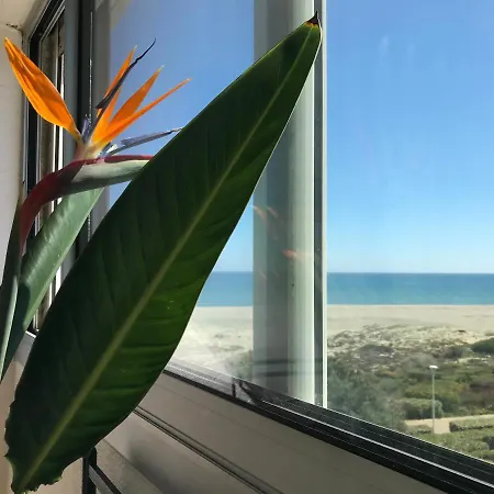 Les Cyclades Appartement Leucate